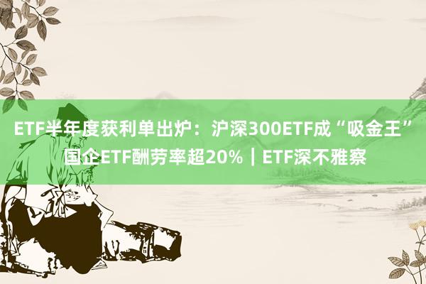 ETF半年度获利单出炉：沪深300ETF成“吸金王” 国企ETF酬劳率超20%｜ETF深不雅察