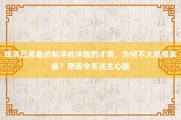 晚清已具备仿制洋枪洋炮的才调，为何不大规模装备？原因令东谈主心酸