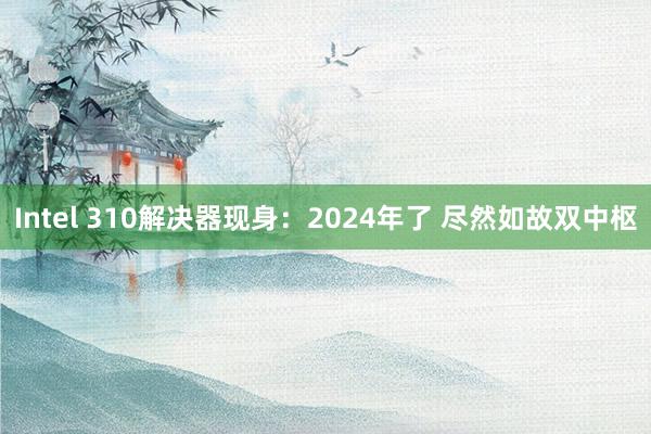 Intel 310解决器现身：2024年了 尽然如故双中枢