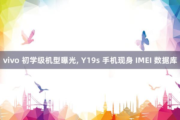 vivo 初学级机型曝光, Y19s 手机现身 IMEI 数据库