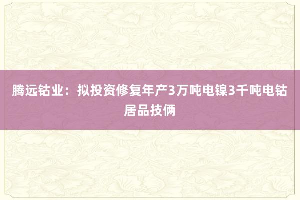 腾远钴业：拟投资修复年产3万吨电镍3千吨电钴居品技俩