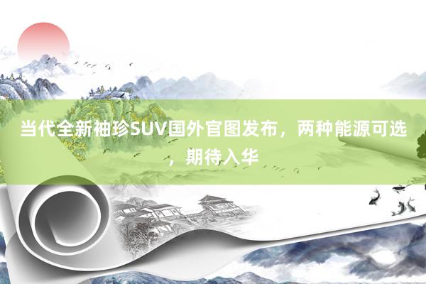 当代全新袖珍SUV国外官图发布，两种能源可选，期待入华