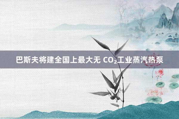 巴斯夫将建全国上最大无 CO₂工业蒸汽热泵