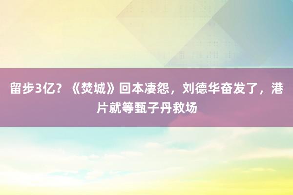 留步3亿？《焚城》回本凄怨，刘德华奋发了，港片就等甄子丹救场